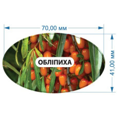 Стікер "Обліпиха"